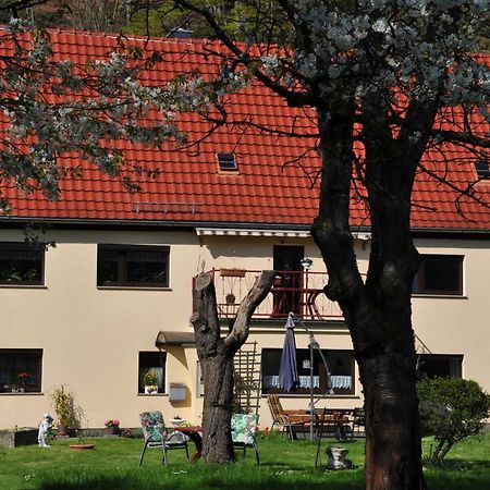 Ferienwohnung An Der Elbe Stadt Wehlen Ngoại thất bức ảnh