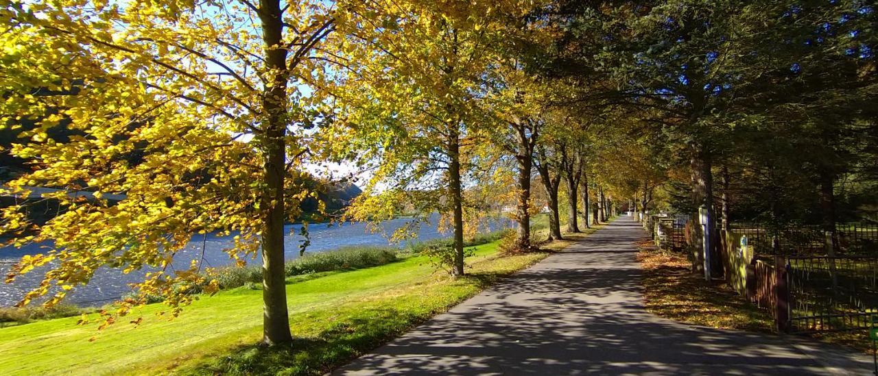 Ferienwohnung An Der Elbe Stadt Wehlen Ngoại thất bức ảnh