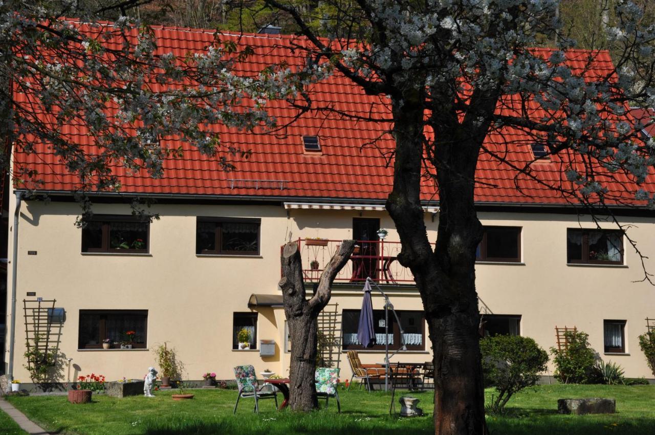 Ferienwohnung An Der Elbe Stadt Wehlen Ngoại thất bức ảnh